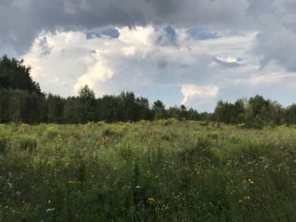 Działki z MPZP między dwoma jeziorami Mokiny, ty