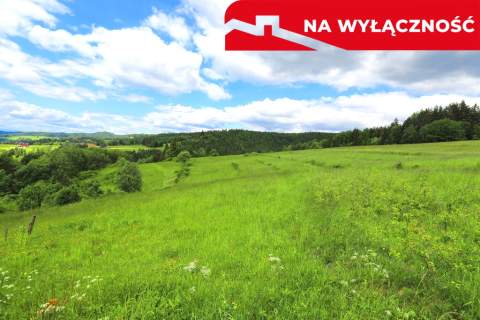 Działka rolno-budowlana w Szlembarku