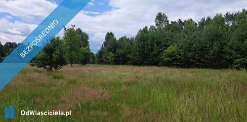 Sprzedam siedlisko 4000 m2 Cisza i spokój, dojazd z Warszawy...