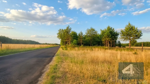 Działka przy lesie Duże 3000m