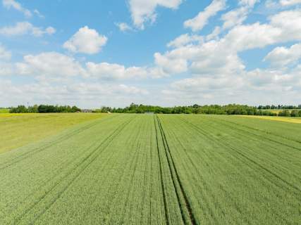 Sielska nieruchomość w otoczeniu natury 2,20 HA
