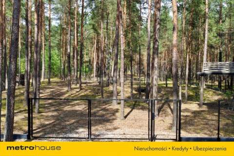 3,12 ha z pozwoleniem na budowę domu