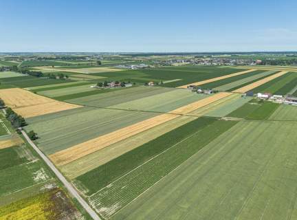 Grunty Rolne 5,80 Ha Magdalenki, Wlkp Klasa III