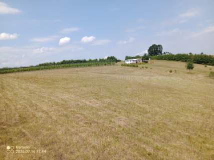 Działka z WZ, linią brzegową jeziora i winnicą