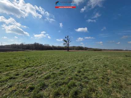 Dom na sprzedaż, 13800 m2, Konary