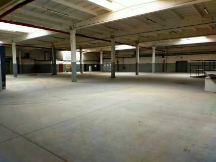 Centrum dystrybucyjne lub produkcja 1005 m2 na TEOFILOWIE