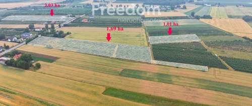 Dom 280 m2 z dochodowym sadem i chłodniami