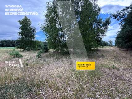 Działka na sprzedaż, 2800 m2, Wiejca