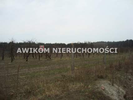 Działka budowlana na sprzedaż, 1000 m2, Many