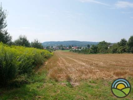 Pisary gm. Zabierzów - działka budowlana 9900 m2