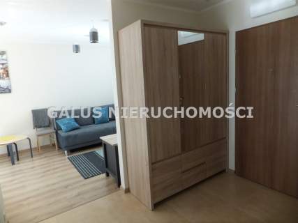 Marchołta 2 pokoje do wynajęcia od połowy maja