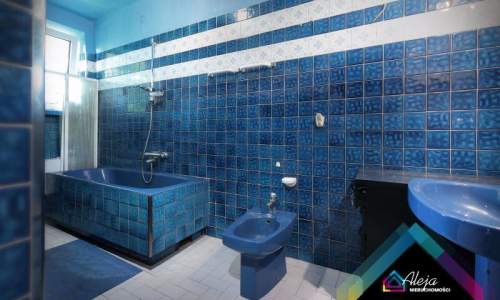 Oryginalny dom ze stawem i lasem ok 6300m2 działki