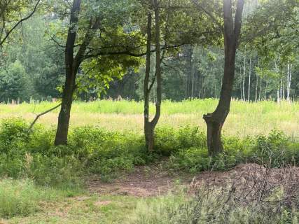 Działka budowlana na sprzedaż, 5000 m2, Skawina