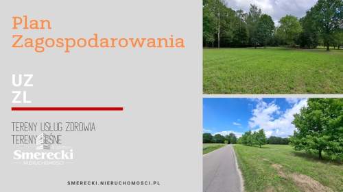 Ponad 2ha działka usługowa w Nałęczowie