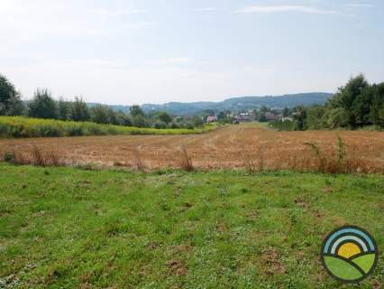 Pisary gm. Zabierzów - działka budowlana 9900 m2