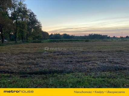 Działka rolna o pow. 6150 m2 - Kośminy