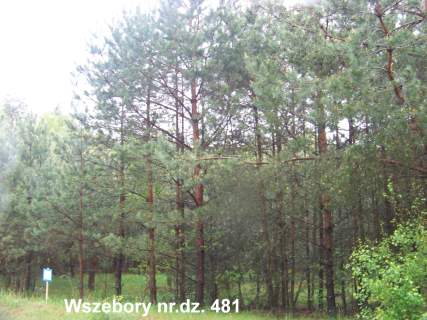 Wszebory 481