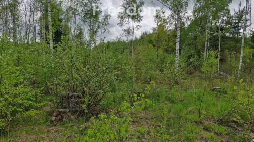 Malownicza działka 750m od jez Narie Warmia Mazury
