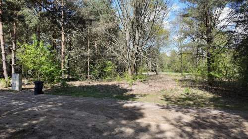 Działka przy Kampinosie Cisza i natura