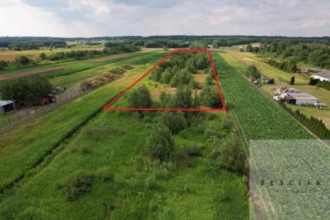 Na sprzedaż działka o powierzchni 1,44 ha - Zaczarnie, gm. Lisia...