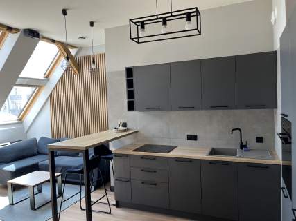 LOFT W ZABYTKOWYM BROWARZE - wyjątkowe, bez pośrednika