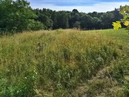 18 arów, Dobranowice. Duża działka w niskiej cenie