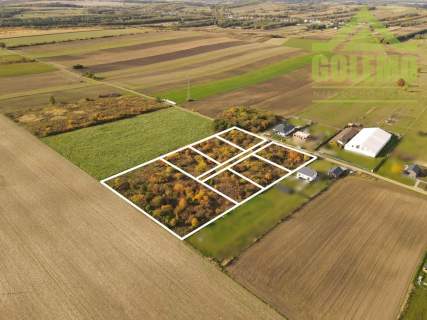 Działka budowlana / 1200m2 / Żuraw, gm. Janów