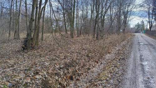 Działka budowlana na sprzedaż, 631 m2, Żywiec