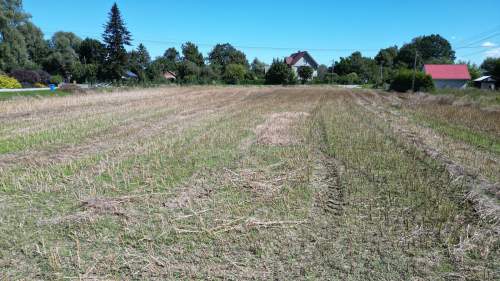 Działka siedliskowa Cedry Małe Gdańsk Trójmiasto
