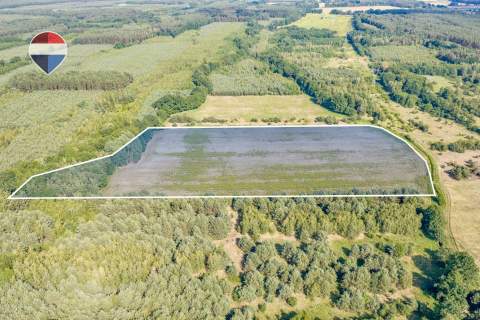Działka rolna 5,21 ha w Jarogniewicach