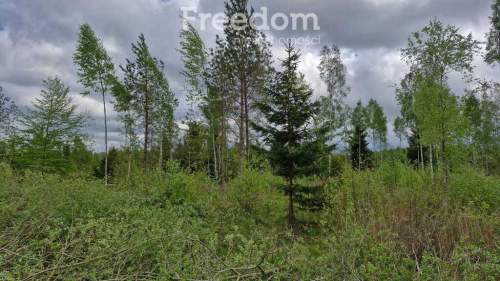 Twoje miejsce ciszy 750m od jeziora Warmia Mazury