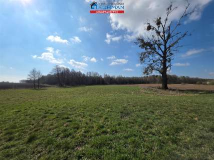 Dom na sprzedaż, 13800 m2, Konary