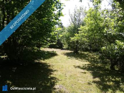 Działka ROD Żeromskiego 300 m