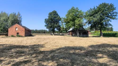 Działka rolno-budowlana 41 arów Dąbrówka Osuchowska