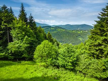 Stryszawa teren inwestycyjny 1,22 ha 63 ar MN