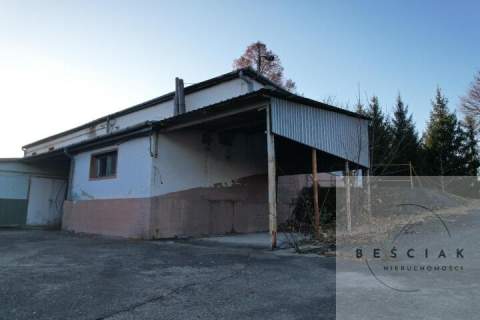 Do wynajęcia powierzchnie od 100-500m2