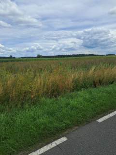 Działki budowlane z bezterminowymi warunkami Zborów