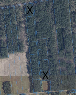 Sprzedam działkę 3000 m2 w kompleksie działek leśnych