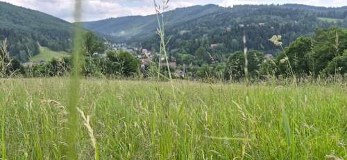 Widokowa działka - odkryj spokój w Beskidach