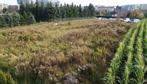 Działka na sprzedaż, 811 m2, Ełk