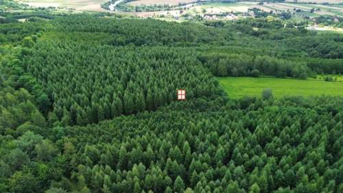Na sprzedaż wyjątkowy kompleks leśny 15,43 h las