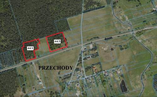Sprzedam 60 letni las - Przechody przy trasie - DK65