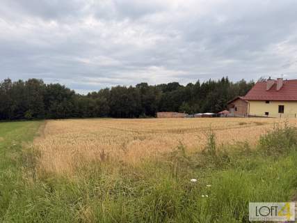 Duża działka z WZ - wiele możliwości