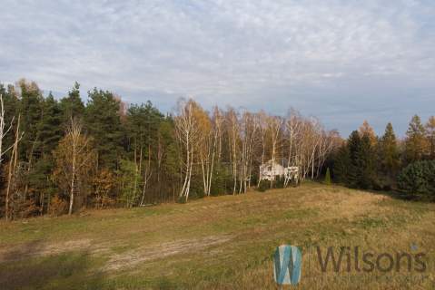 Atrakcyjna posiadłość, dom, siedlisko, las 