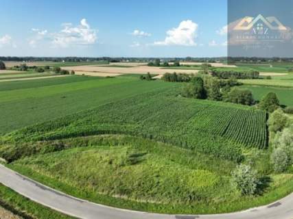 Działka rolna 80 arów w Miechowicach
