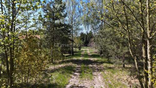 Obszerna działka, dom oraz stajnia - Kamienica