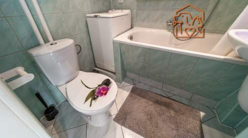 Szymanowskiego 3A, kawalerka pet-friendly