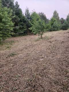 Działka rolno-budowlana 1,52 ha Dąbrowa gm. Ludwin