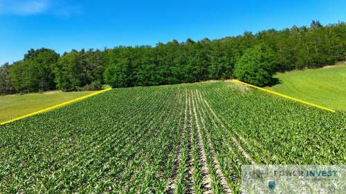Kaskadowa działka 9 000 m przy lesie