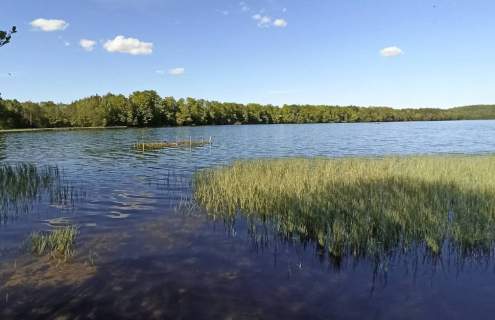 Działka budowlana 900 m Kamienica Królewska